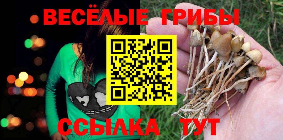 Псилоцибиновые грибы мицелий  Вход с VPN  Грязи 