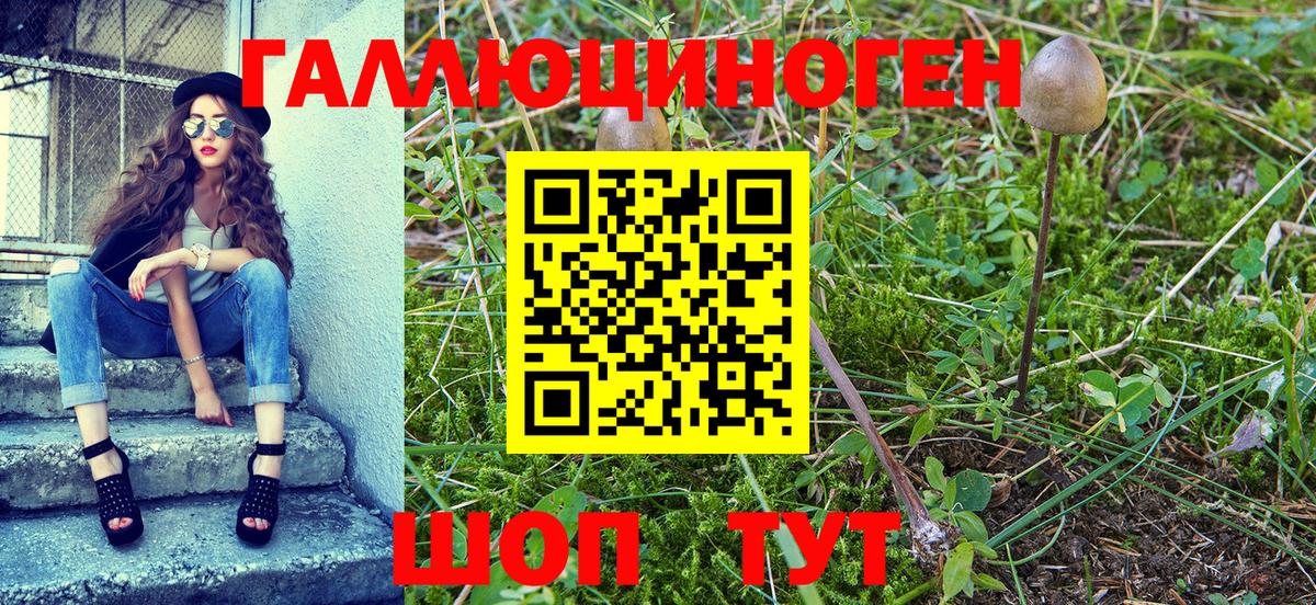 Галлюциногенные грибы GOLDEN TEACHER Грязи